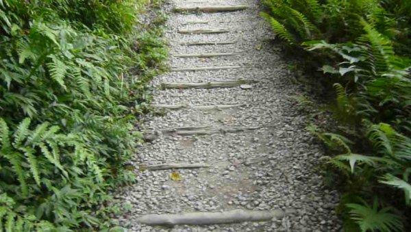 礁溪林美石盤步道643409