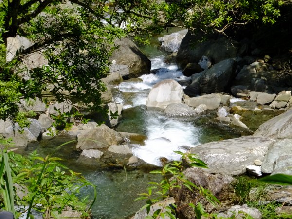 【走入山林，清涼一夏】宜蘭澳花瀑布步道633069