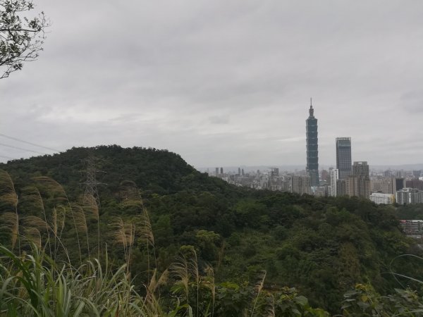 與母親爬山—虎山步道群/探訪秘境黃蟬園895165