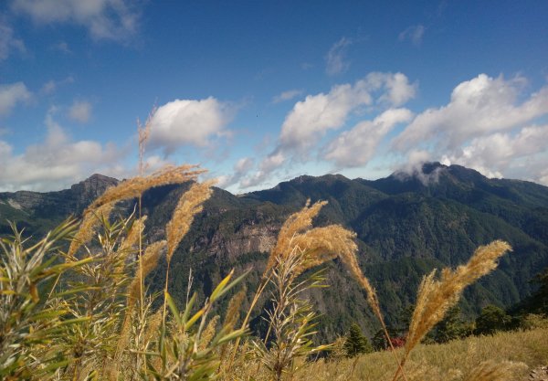 雪山 不下雪532969