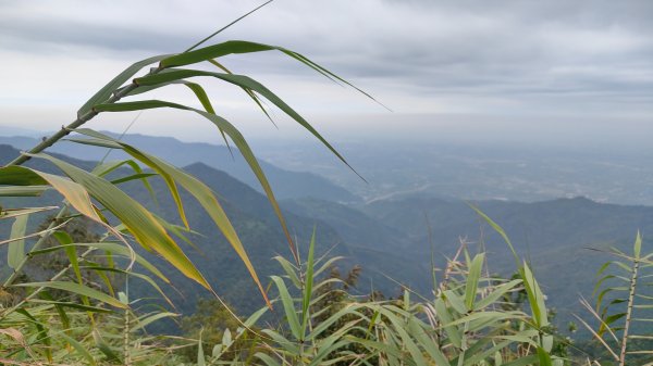 笠頂山單攻西大武山(西北峰) 九星連珠搏命演出歷險記 2025年3月20日2739004