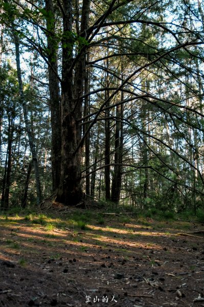 霞山鐵道野營2843107