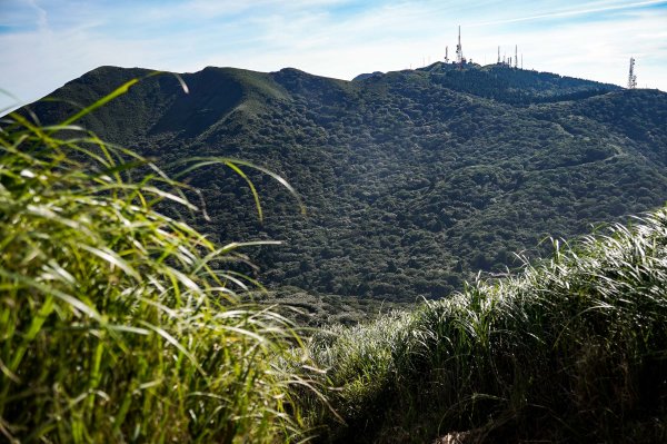 大屯山連峰步道｜陽明山小百岳2856249