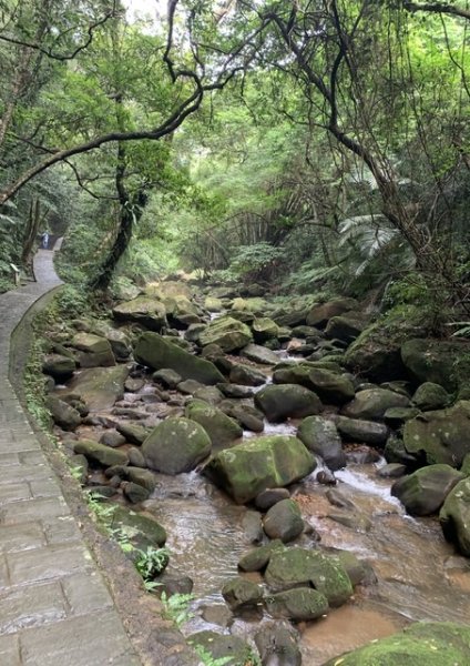 台北大縱走第四段1667319