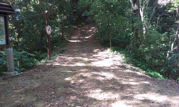 百吉林蔭步道&新溪洲山縱走201309131958389