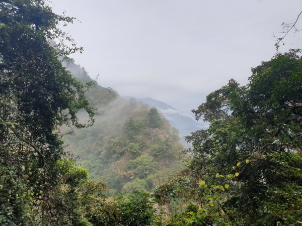 麗陽上屋我尾山2683104