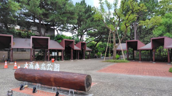 霄裡好風光運動樂悠遊-大湳森林公園