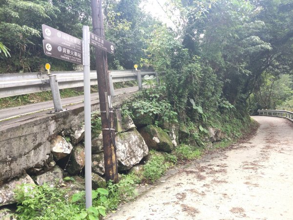 草嶺古道茫草祭2936602