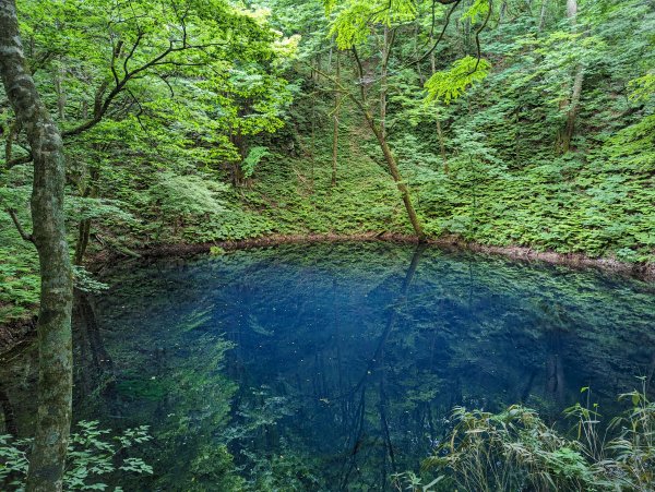 2023-06-14 十二湖（日本）2793206