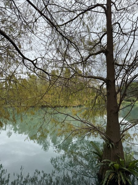 雲山水2680742