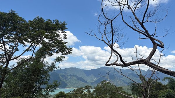 三腳南山2799606