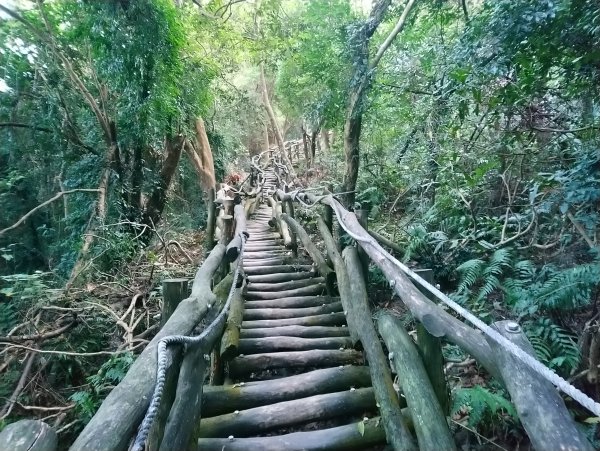 大坑步道全包一起登( 2 3維修)747630