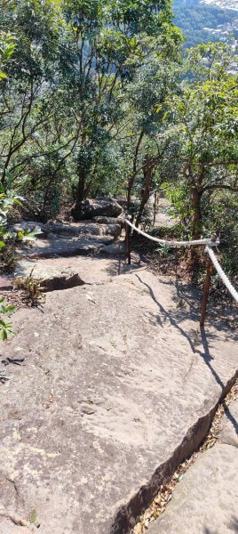 內湖金面山22690011