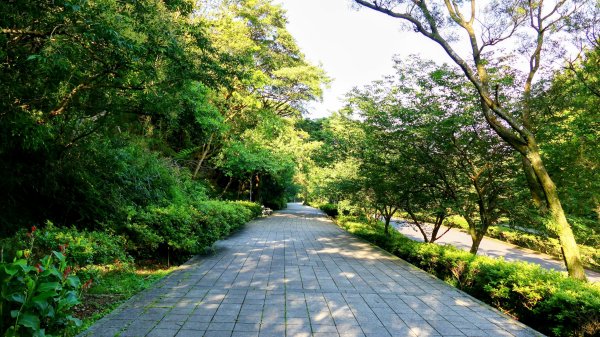 猴崁古道。盧特訪積2773375