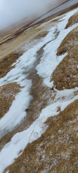 日本九州：熊本阿蘇火山草千里2997385