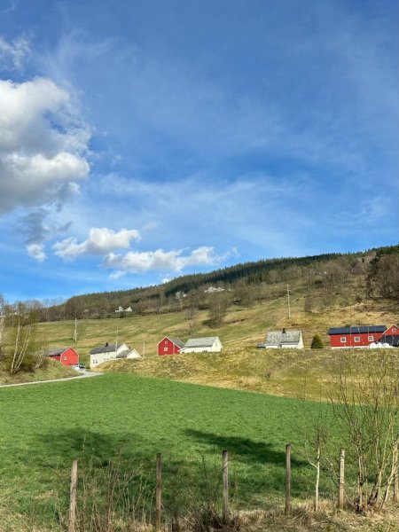 挪威🇳🇴Voss峽谷秘境2810324