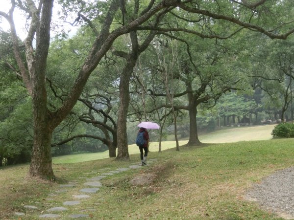 遊園旅夢—重遊南園封面