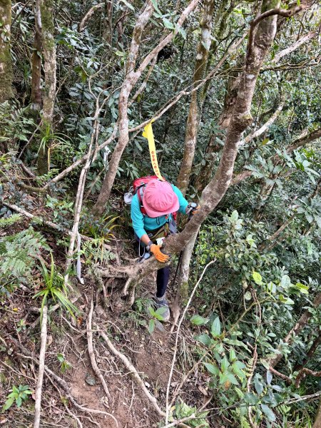 女仍山+帽子山O繞 202602273009564