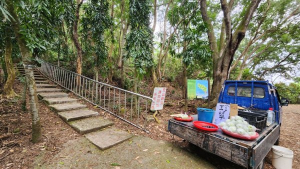 田中麒麟山連走田中森林公園北天宮O繞+ 田中大小劍逆走2756728