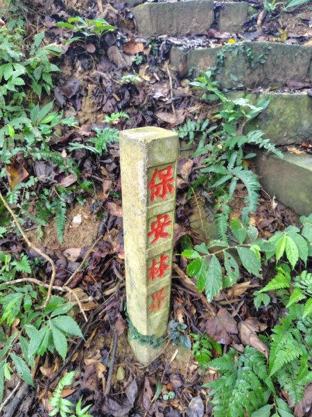 鳳鳴古道 鳳鳴山 南隘勇（南長城）古道 三湖山 八達嶺（龍骨）古道 綠色古道 延平古道2975214
