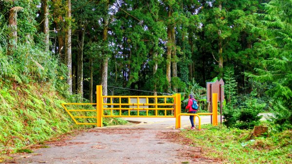 油羅山(一上三下)2959216