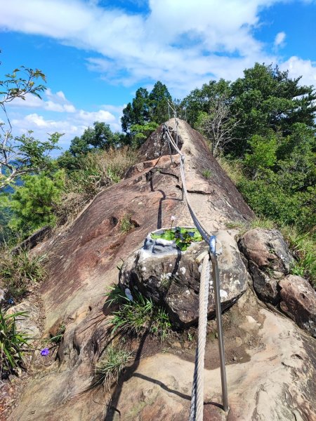 五寮尖登山步道 - (新北)臺灣百大必訪步道2312558