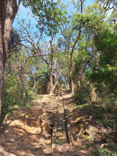 造橋口山古道202503122734388