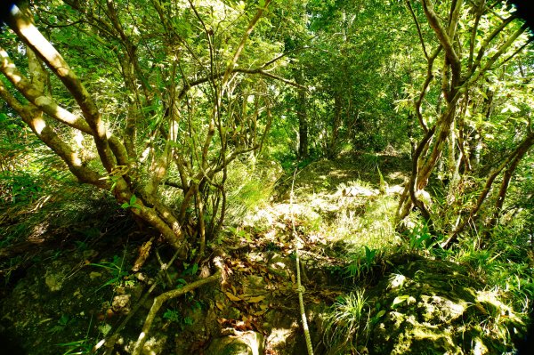 新竹 尖石 那羅山、煤源山3068660