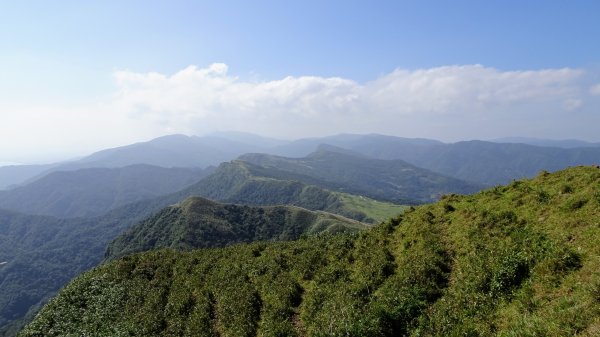 灣坑頭山，大里上大溪下1993804