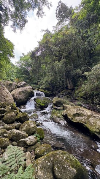戲水（鴛鴦2786713