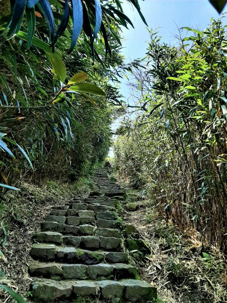 走遍陽明山：七星山系｜七星山 、夢幻湖2121087