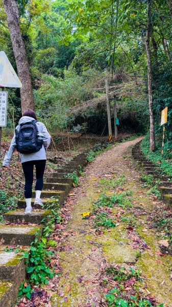 水沙漣古道｜二坪山2979983
