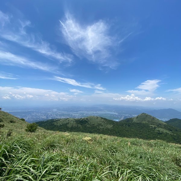 20240518大屯山主峰步道2508042