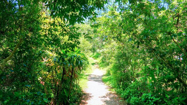 微笑山線烘爐地土地公段2860654