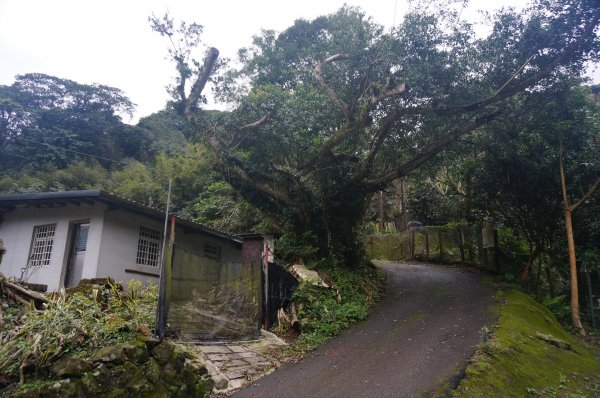 二格山登山步道1911648