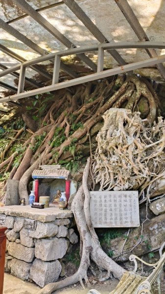 叮叮叮：一個人的微笑山線😊2917432