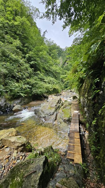 240814-白神山地世界自然遺產地域。美美兔不能錯過的日本東北健行路線。2603909