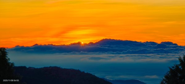 #太平山 #望洋山 #觀雲步道 #日出 #雲海 11/82931204