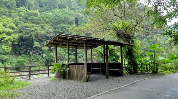 福山部落,內洞森遊區2552473