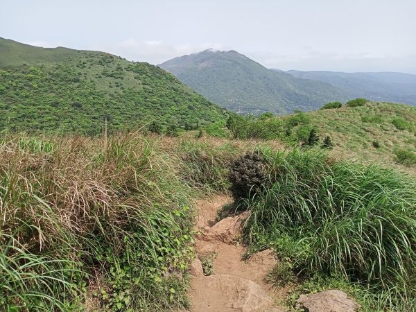 【臺北大縱走 2】【台北-臺灣百大必訪步道】攀繩陡上陡下的大屯群峰步道(大屯西、南、主峰連走)1339552