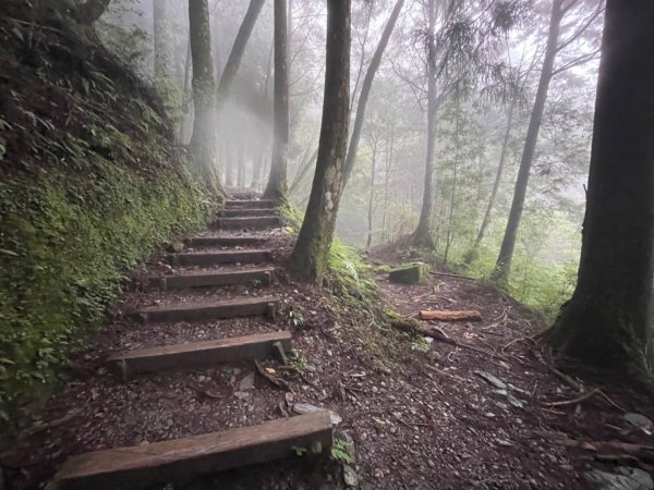 檜山巨木森林步道2224143