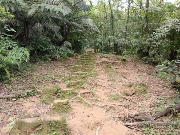 平溪區嶺腳越嶺古道+嶺腳步道+嶺腳石窟大瀑布O型2824085