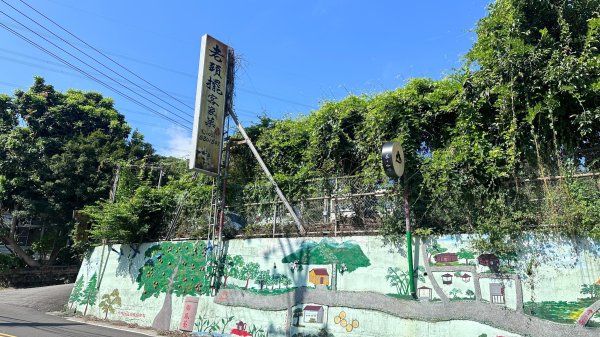 大分林山步道輕鬆走2558715