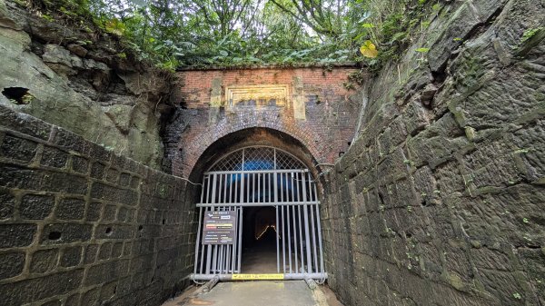 114.12.20劉銘傳隧道-獅球嶺北峰-獅球嶺東砲台山-獅球嶺池-獅球嶺砲台山之旅2966694