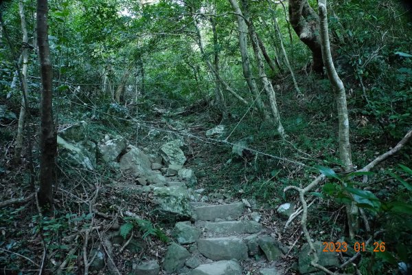 屏東 獅子鄉 里龍山(里隆山、里瀧山、鯉龍山)、下里龍山2018527