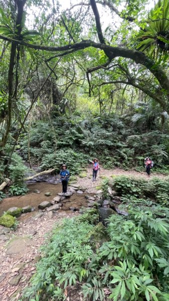 銀河洞越嶺貓空-新高麗坑山-銀獅縱走-猴山岳群峰+三條魚縱走2765331