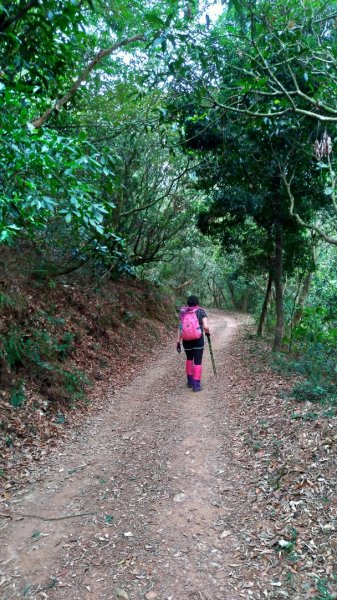 小百岳【尾寮山】905214