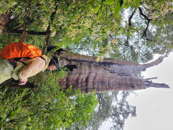 北得拉曼-20204062859826