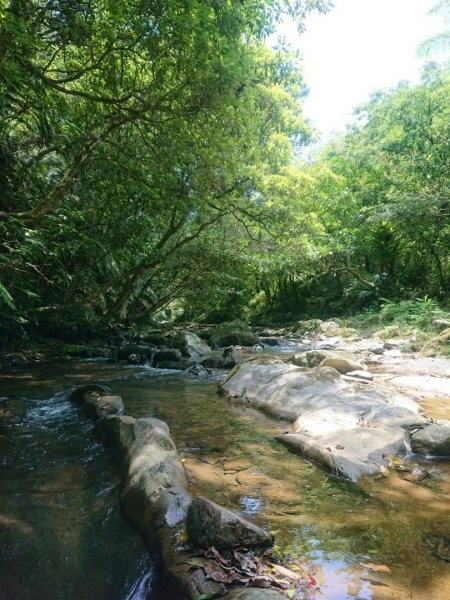 淡蘭烏山古道西段、網形山O走1434246