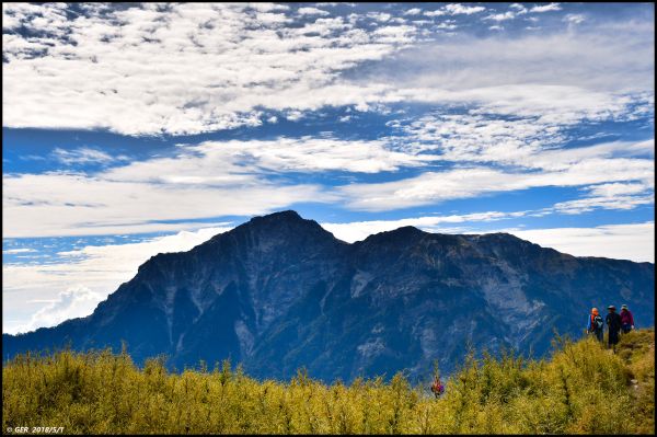 玉山杜鵑與奇萊群峰 @ 小奇萊步道325691